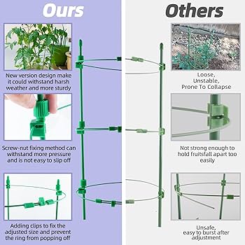 Amazon.com : Tomato Cage for Garden- Upgrade 36 Inches